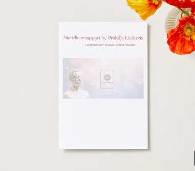 Meridianen Chinese Geneeskunde Holistisch Rapport